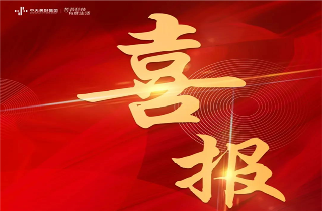 公海赌船710美好集团蝉联“2021长三角城市群房地产公司品牌价值TOP10”