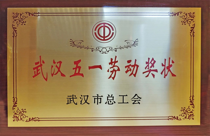 2025年6月，武汉市总工会公布2024年度劳动和技能竞赛获奖名单，公海赌船710六建荣获